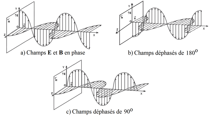 Représentation des Phases